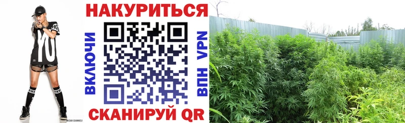 Как найти наркотики Арзамас ГАШ Псилоцибиновые грибы Меф мяу мяу COCAIN
