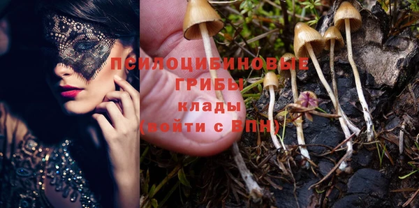 герыч Лиски